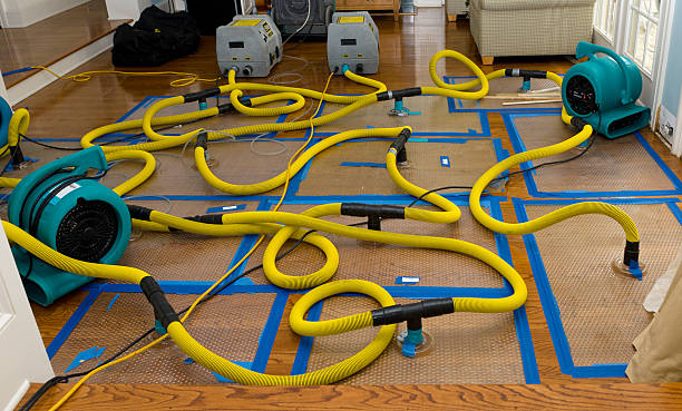 Professional Storm Water Damage Restoration technician working in Easton, MN